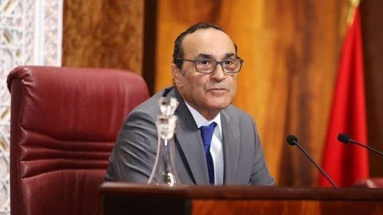 الحبيب المالكي يمثّل العاهل المغربي بنيجيريا