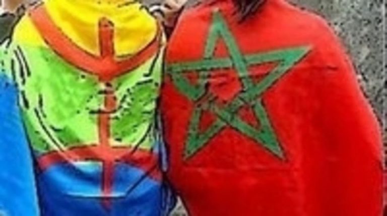 هل يقترب البرلمان المغربي من اقرار قوانين الأمازيغية؟