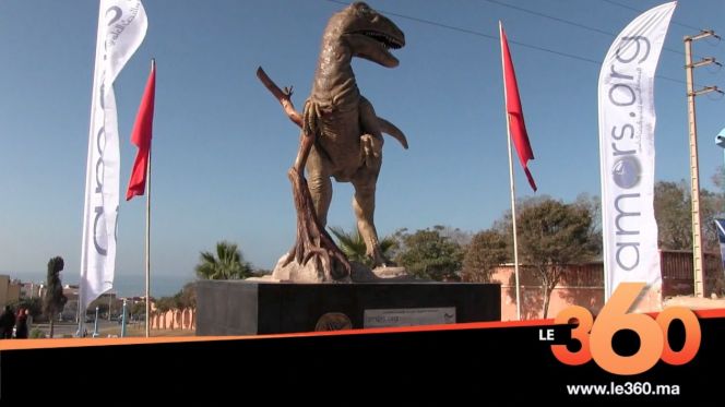 تدشين مُجسَّم ديناصور ضخم بأكادير