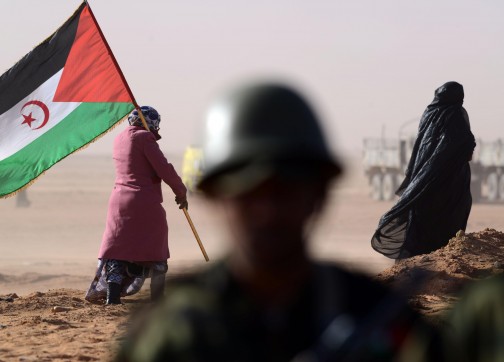 مؤتمر لـ”البوليساريو” بتيفاريتي.. مسؤول بالخارجية: عبرنا عن الموقف في المكان والزمن المناسبين