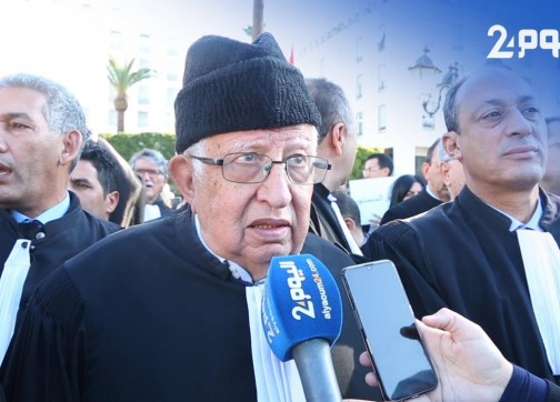 بن عمرو: المادة 9 تمس استقلالية القضاء