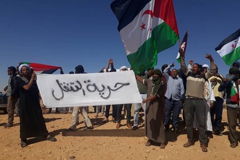 أمنيستي: البوليساريو تتقاعس في تقديم منتهكي حقوق الإنسان للعدالة
