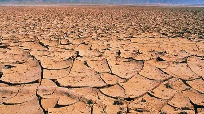 قلق متزايد لدى فلاحي سوس بسبب الجفاف