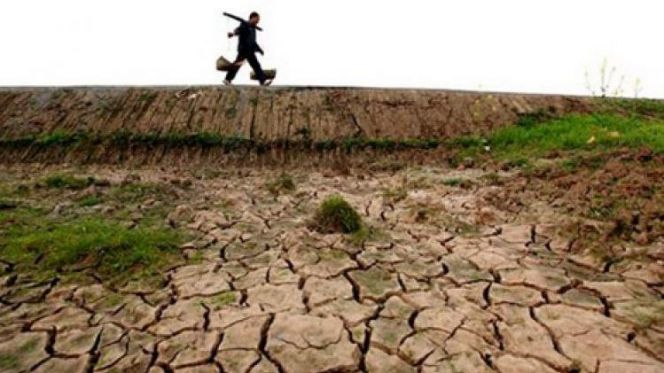 وزارة الفلاحة: الموسم الفلاحي سيتأثر بسبب نقص الأمطار