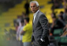 حاليلوزيتش: وديتا السنغال و الكونغو الديموقراطية تحدي جديد لمرحلة جديدة