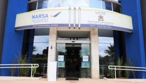 فيروس كورونا: النارسا تعلن تعليق الخدمات المقدمة بمركز تسجيل السيارات الدار البيضاء - الجنوبية حتى إشعار آخر فيروس كورونا: النارسا تعلن تعليق الخدمات المقدمة بمركز تسجيل السيارات الدار البيضاء - الجنوبية حتى إشعار آخر