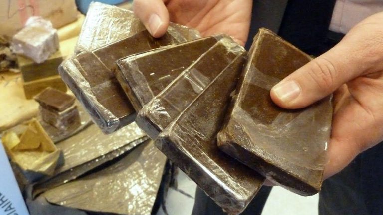 القنيطرة: إحباط عملية تهريب طن و120 كيلوغراما من مخدر الشيرا على متن شاحنة للنقل الطرقي للبضائع