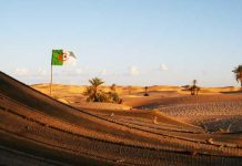 عندما رفضت الجزائر إقامة جمهورية صحراوية على أراضيها عندما رفضت الجزائر إقامة جمهورية صحراوية على أراضيها