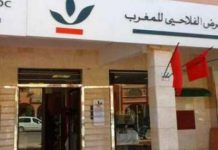 القرض الفلاحي للمغرب يلتقي الفيدراليات البيمهنية لقطاعات الفواكه والخضر وأركان والحليب والفواكه الحمراء القرض الفلاحي للمغرب يلتقي الفيدراليات البيمهنية لقطاعات الفواكه والخضر وأركان والحليب والفواكه الحمراء