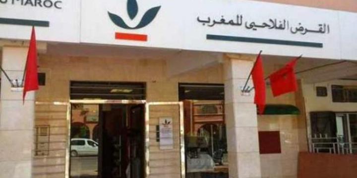 القرض الفلاحي للمغرب يلتقي الفيدراليات البيمهنية لقطاعات الفواكه والخضر وأركان والحليب والفواكه الحمراء القرض الفلاحي للمغرب يلتقي الفيدراليات البيمهنية لقطاعات الفواكه والخضر وأركان والحليب والفواكه الحمراء