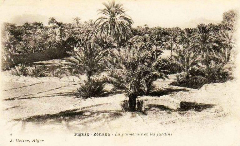 المغرب - الجزائر: الوضع الحدودي في فكيك من القرن التاسع عشر إلى 2021