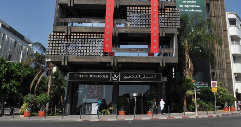 القرض الفلاحي للمغرب ويطلق تسبيق على إعانة صندوق التنمية الفلاحية
