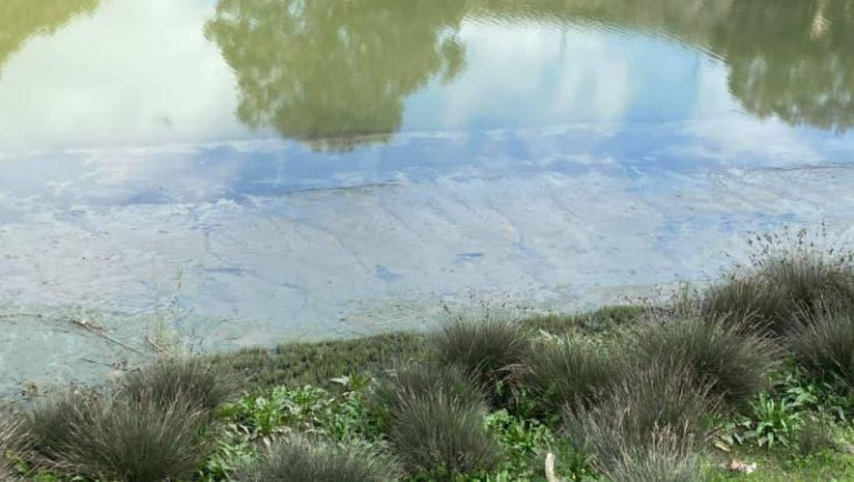 دراسة: أنهار المغرب مهددة بالتلوث والإجهاد المائي