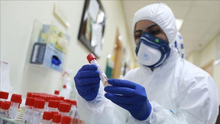 فيروس كورونا: تسجيل 703 إصابة و5 وفيات في 24 ساعة الأخيرة