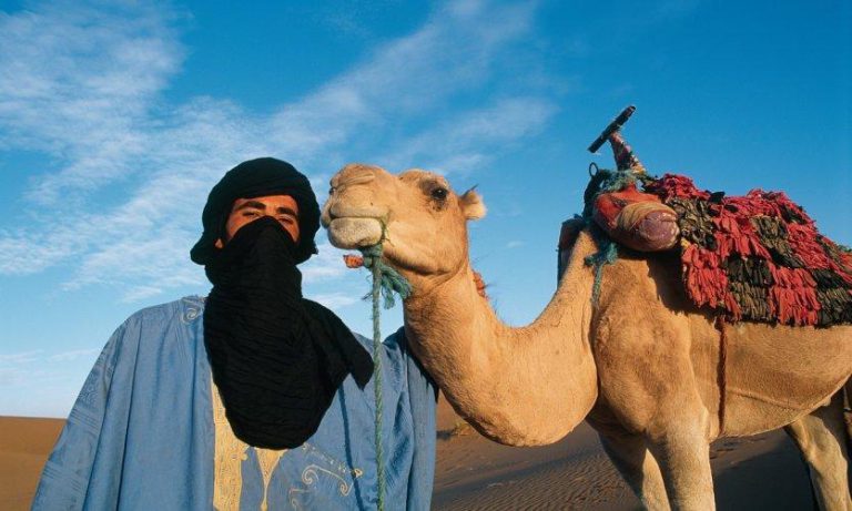 استفادة أزيد من 3 آلاف مرشد سياحي من التعويض الجزافي الممول من صندوق كورونا