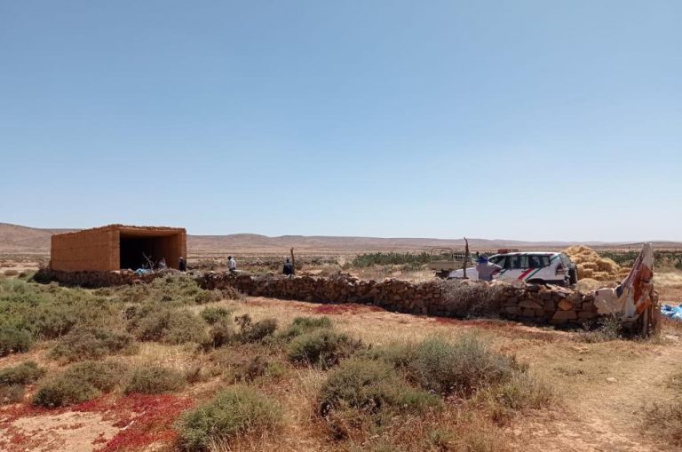 طانطان: حجز أزيد من 5ر6 أطنان من مخدر الشيرا وتوقيف خمسة أشخاص