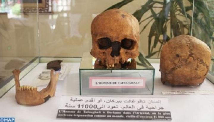 جامعة محمد الأول بوجدة تكشف النقاب عن اكتشافات حفرية ثمينة وتتطلع الى إنشاء متحف للمحافظة على تراث استثنائي للمنطقة جامعة محمد الأول بوجدة تكشف النقاب عن اكتشافات حفرية ثمينة وتتطلع الى إنشاء متحف للمحافظة على تراث استثنائي للمنطقة