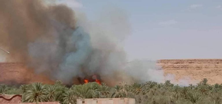 الرشيدية: النيران تخلف خسائر كبيرة في واحة النخيل بأوفوس