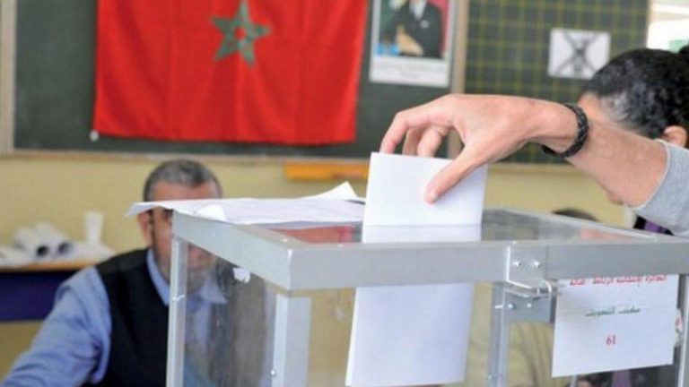 اعتماد 19 منظمة وهيئة دولية للاضطلاع بالملاحظة المستقلة والمحايدة لانتخابات 8 شتنبر