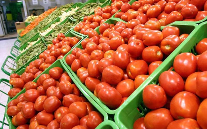 بعد خروج بريطانيا من الاتحاد الأوروبي.. الطماطم المغربية تتفوق على منافستها الإسبانية في السوق البريطانية بعد خروج بريطانيا من الاتحاد الأوروبي.. الطماطم المغربية تتفوق على منافستها الإسبانية في السوق البريطانية