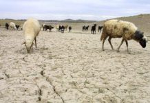 الجفاف.. حزب الحركة الشعبية يدعو إلى تعديل قانون المالية وحزب البام يطالب بعقد اجتماع للأغلبية الجفاف.. حزب الحركة الشعبية يدعو إلى تعديل قانون المالية وحزب البام يطالب بعقد اجتماع للأغلبية