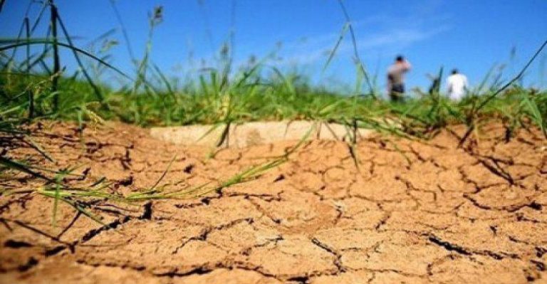 المديرية العامة للأرصاد الجوية: الظروف الجوية غير المواتية سبب رئيس في شح التساقطات خلال فصل الشتاء