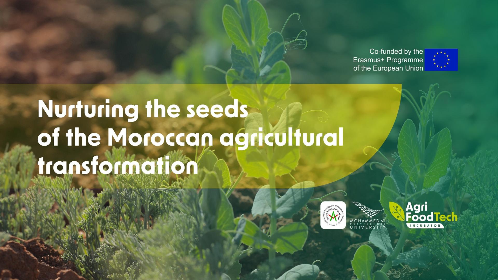 جامعة محمدالسادس متعددة التخصصات التقنية ومعهد الحسن الثاني للزراعة و البيطرة يطلقان حاضنة Agri-Food Tech للشركات الناشئة في مجالي الزراعة والصناعات الغذائية جامعة محمدالسادس متعددة التخصصات التقنية ومعهد الحسن الثاني للزراعة و البيطرة يطلقان حاضنة Agri-Food Tech للشركات الناشئة في مجالي الزراعة والصناعات الغذائية