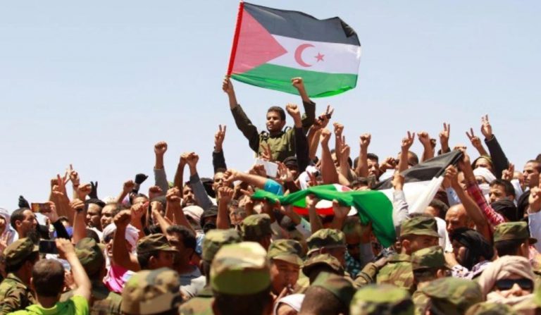 ناشط صحراوي: المنتمون للصحراء الغربية في مخيمات البوليساريو أقلية