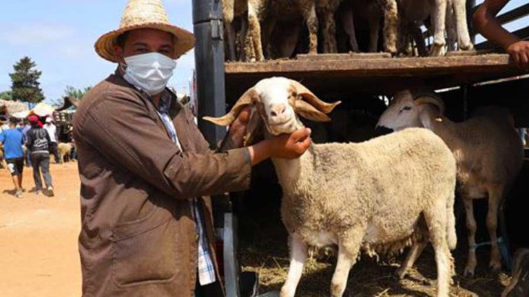 عيد الأضحى يوم الأحد 10 يوليوز بالمغرب