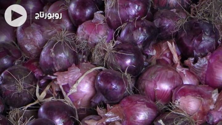 بالفيديو: مأكولات عيد الأضحى ترفع أسعار البصل بالبيضاء