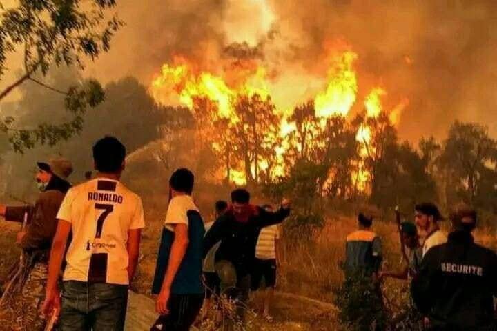 تاونات: مصرع شخص وإصابة آخر خلال مساهمتهما كمتطوعين في إخماد حريق على مستوى غابة خندق تسيانة