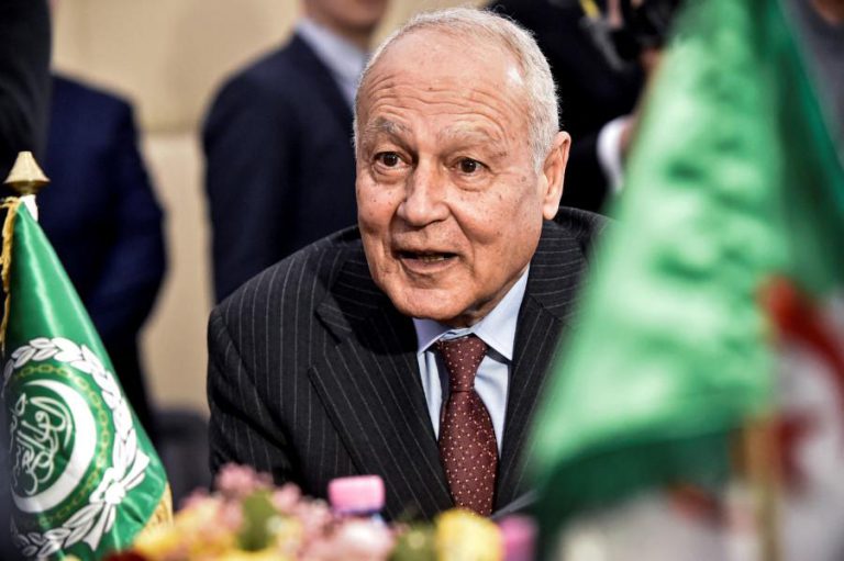 أبو الغيط : عقد القمة العربية المقبلة رسميا يومي 1 و 2 نونبر المقبلين