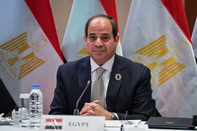 الرئيس المصري: يجب الحفاظ على وحدة أراضي الدول وعدم التعامل مع الميليشيات المسلحة