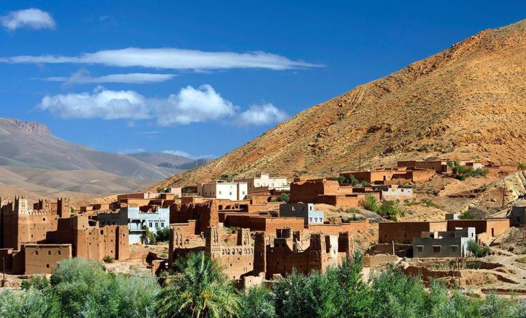 المغرب يخطّط لإطلاق مشروع زراعي في الصحراء الغربية