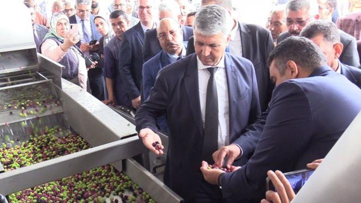بالفيديو: من بينها معصرة متطورة للزيتون.. إطلاق مشاريع فلاحية بإقليم جرسيف بالفيديو: من بينها معصرة متطورة للزيتون.. إطلاق مشاريع فلاحية بإقليم جرسيف