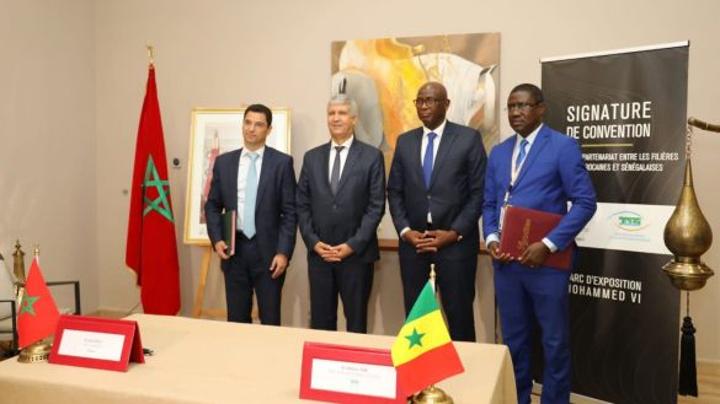 بالصور: المغرب والسنغال يوقعان اتفاقية شراكة تهم مجال تربية الخيول بالصور: المغرب والسنغال يوقعان اتفاقية شراكة تهم مجال تربية الخيول