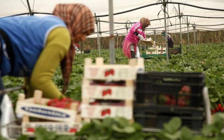 إسبانيا تستعد لاستقبال 15 ألف عاملة موسمية مغربية