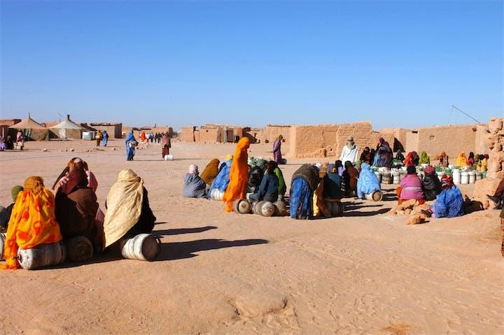مغاربة إيطاليا ينددون بالانتهاكات الجسيمة في مخيمات تندوف مغاربة إيطاليا ينددون بالانتهاكات الجسيمة في مخيمات تندوف