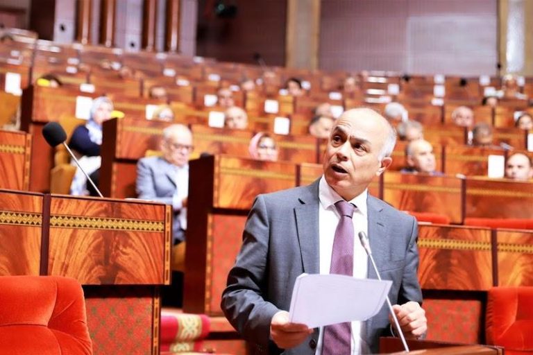 مونديال قطر 2022: كل الشروط تم توفيرها لمشاركة المنتخب الوطني في أفضل الظروف