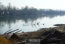 اليونان: مهاجرون مغاربة يتعرضون للاعتداء على الحدود مع تركيا اليونان: مهاجرون مغاربة يتعرضون للاعتداء على الحدود مع تركيا