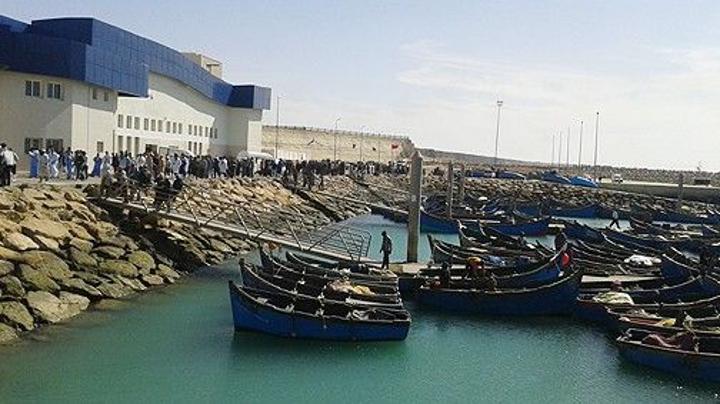 تجاوزت 8,79 مليار درهم.. ارتفاع الكميات المفرغة من منتجات الصيد الساحلي والتقليدي تجاوزت 8,79 مليار درهم.. ارتفاع الكميات المفرغة من منتجات الصيد الساحلي والتقليدي