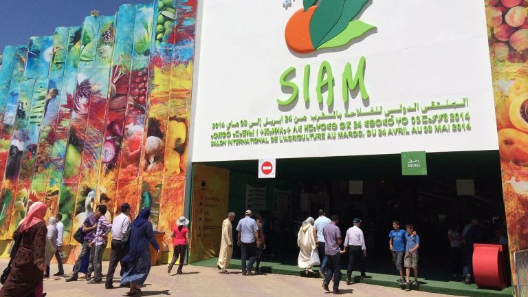 مكناس: تنظيم الملتقى الدولي للفلاحة من 02 إلى 07 ماي المقبل