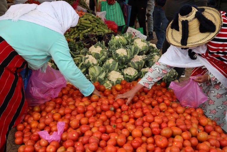 المندوبية السامية للتخطيط: التضخم الكلي قد يكون بلغ 6.6 بالمئة سنة 2022