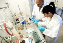 مؤسسة مغربية تخترع أول اختبار إفريقي لتشخيص سرطان الثدي وسرطان الدم مؤسسة مغربية تخترع أول اختبار إفريقي لتشخيص سرطان الثدي وسرطان الدم