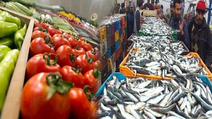 لأول مرة.. صادرات المنتجات الفلاحية والبحرية تتجاوز 80 مليار درهم سنة 2022 لأول مرة.. صادرات المنتجات الفلاحية والبحرية تتجاوز 80 مليار درهم سنة 2022