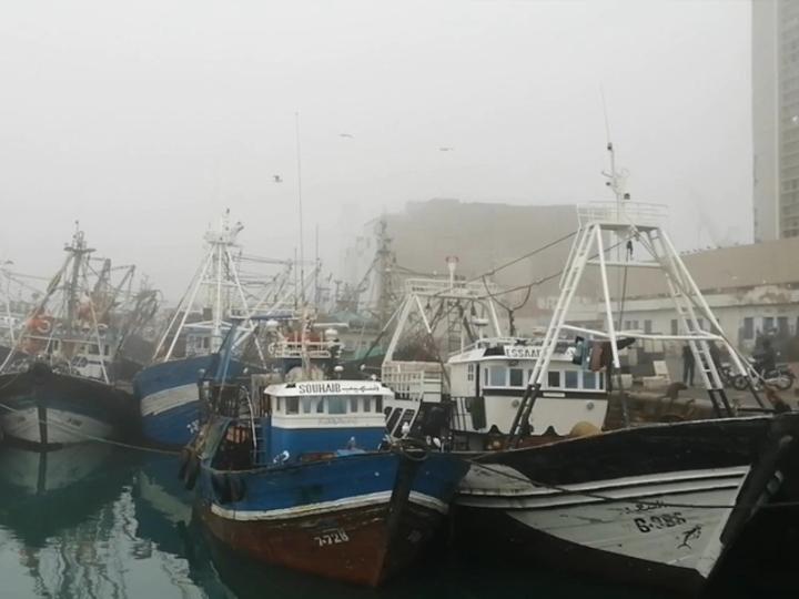 ميناء آسفي شبه مشلول بسبب منع صيد السردين ميناء آسفي شبه مشلول بسبب منع صيد السردين