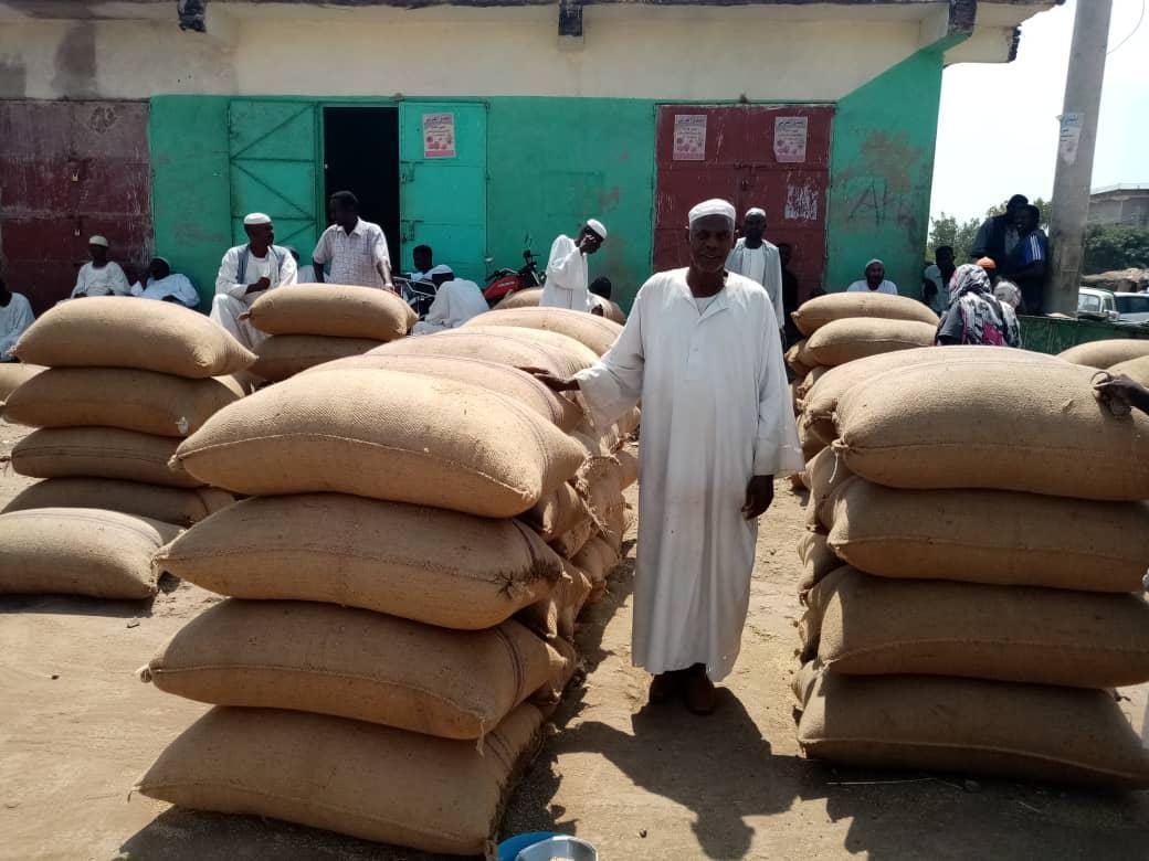 إستقرار في أسعار السمسم عالمياً إستقرار في أسعار السمسم عالمياً