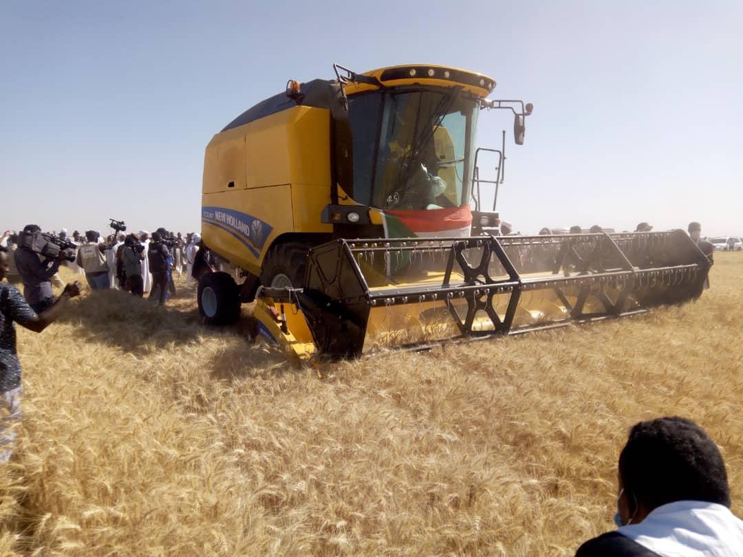 القمح الأمريكي الأعلى سعرًا عالميًا القمح الأمريكي الأعلى سعرًا عالميًا