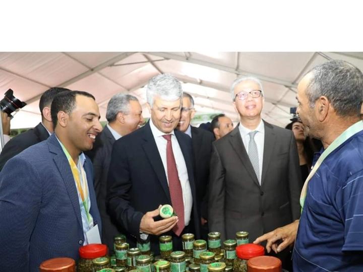 غلاء أسعار الخضر والفواكه يجر وزير الفلاحة إلى المساءلة البرلمانية غلاء أسعار الخضر والفواكه يجر وزير الفلاحة إلى المساءلة البرلمانية