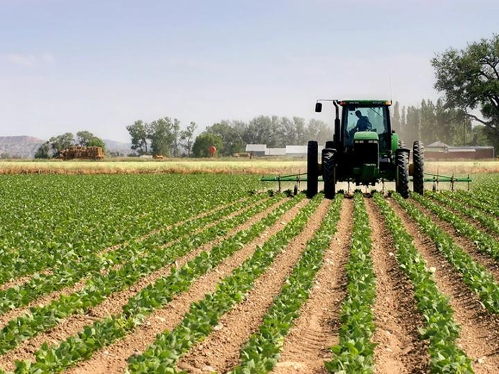 أخنوش يثني على معدل حكومته في التشغيل بالفلاحة أخنوش يثني على معدل حكومته في التشغيل بالفلاحة